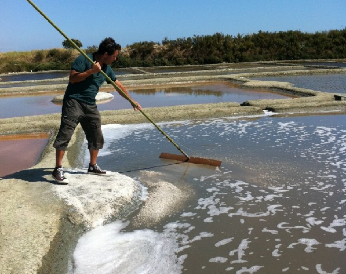 marais salants