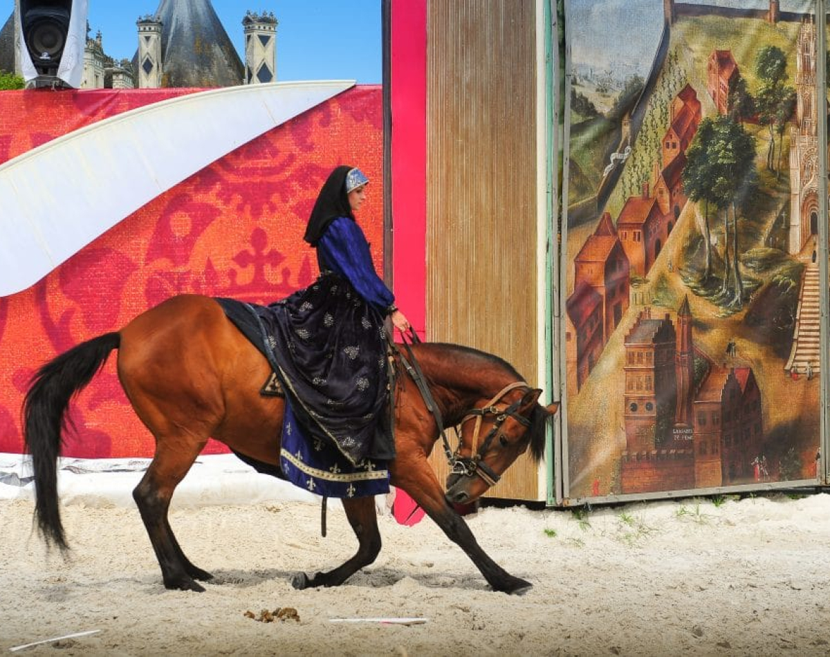 Spectacle chevaux et rapaces 